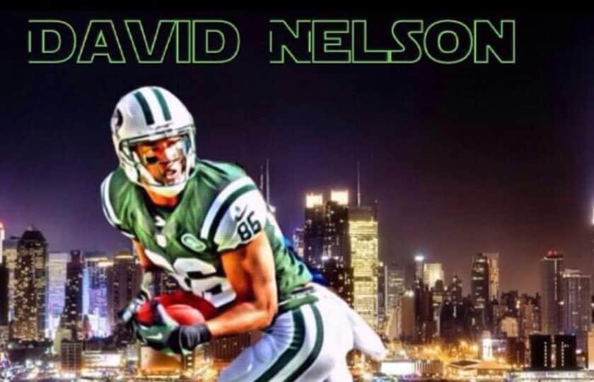 David Nelson Band