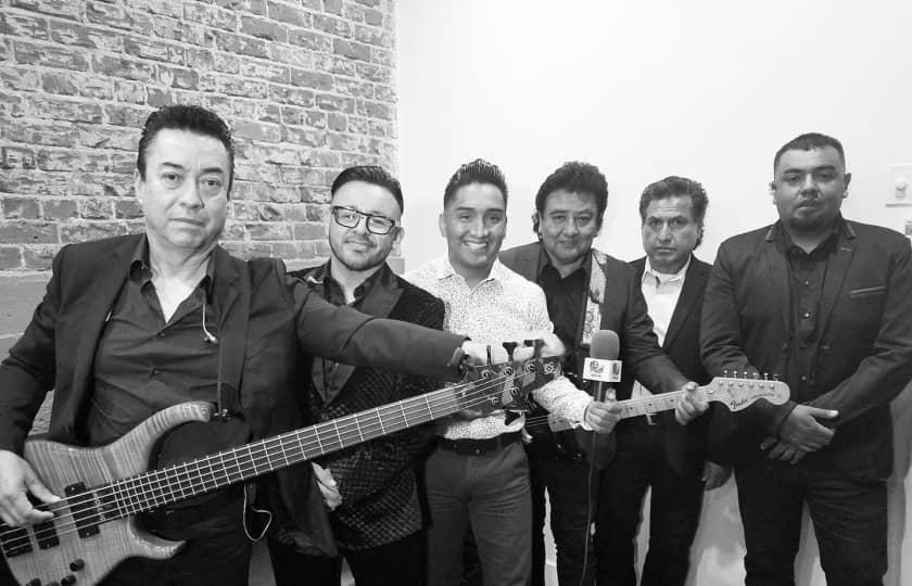 GRUPO BRYNDIS