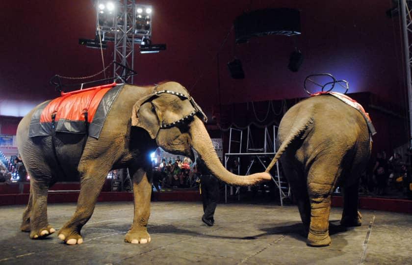 Kosair Shrine Circus