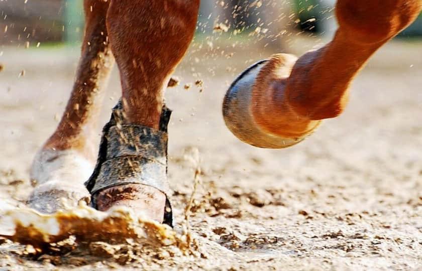 Live Racing at Santa Anita Park
