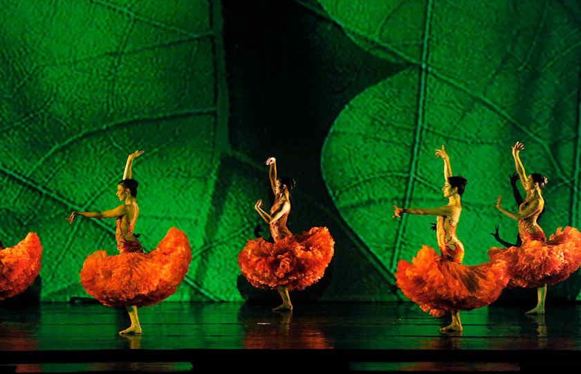 Momix: Alice
