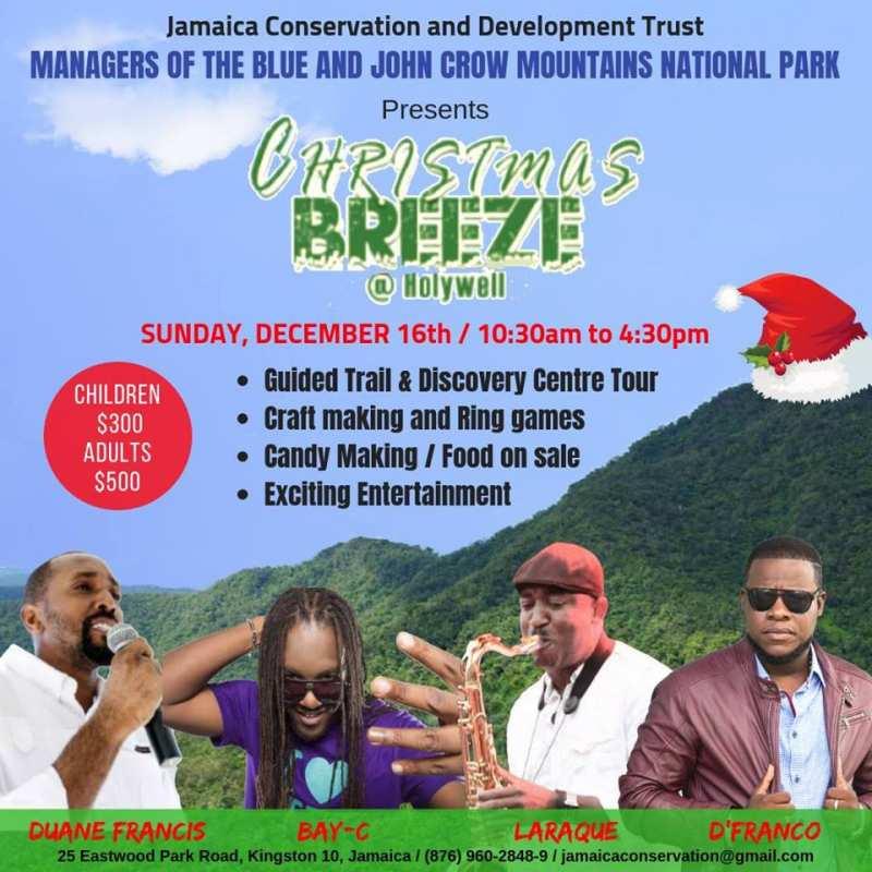 Christmas Breeze