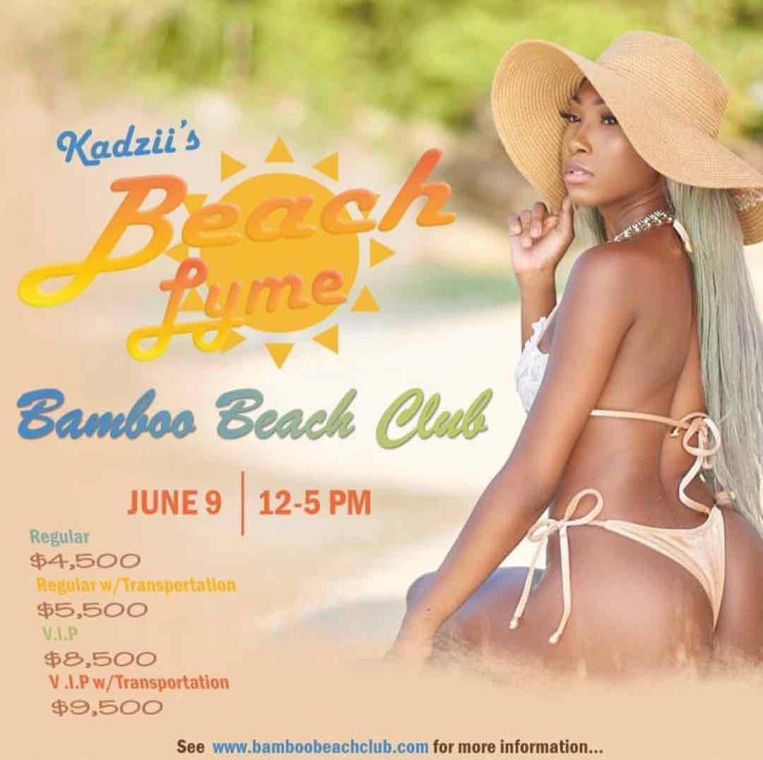 Kadzii's Beach Lyme