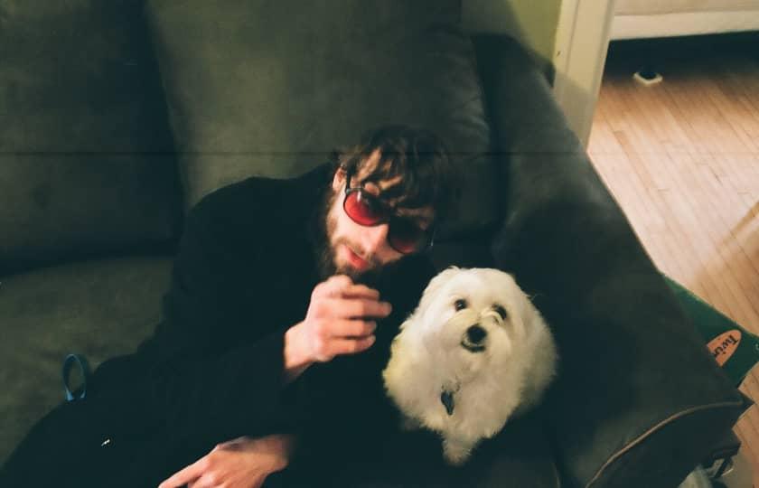 Dog Party