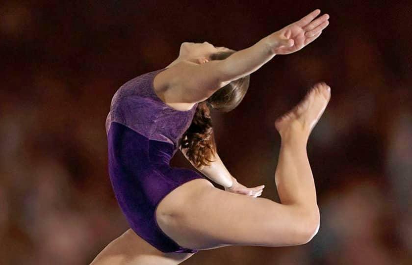 West Virginia Mountaineers at BYU Cougars Gymnastics