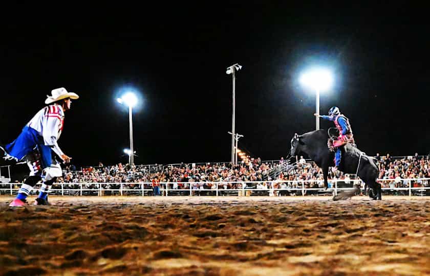 Xtreme Bulls