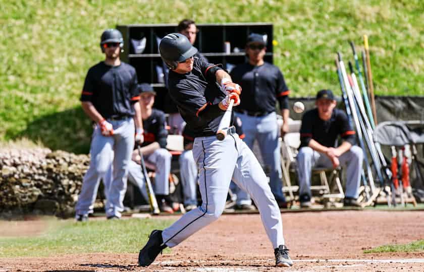 Dartmouth Big Green at Princeton Tigers Baseball