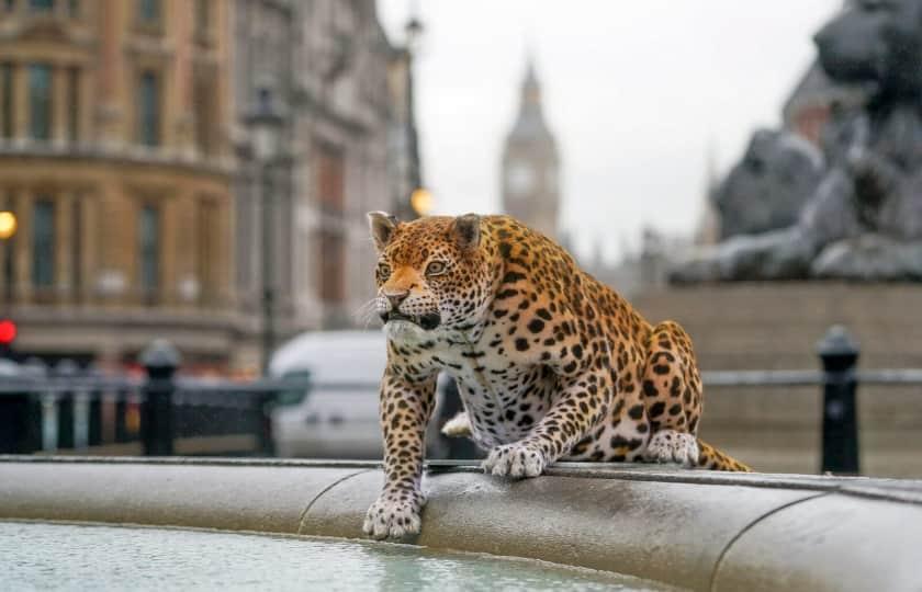 National Geographic Live - Kiliii Yuyan