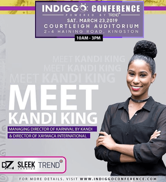 Indiggo Conference
