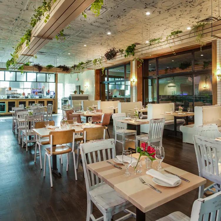 Ambar - Arlington