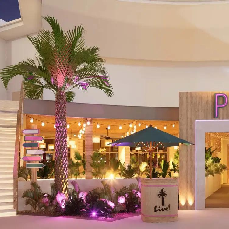 Palm Tree Club Orlando