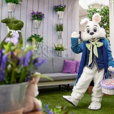 Bunny Brunch + Egg Scavenger Hunt
