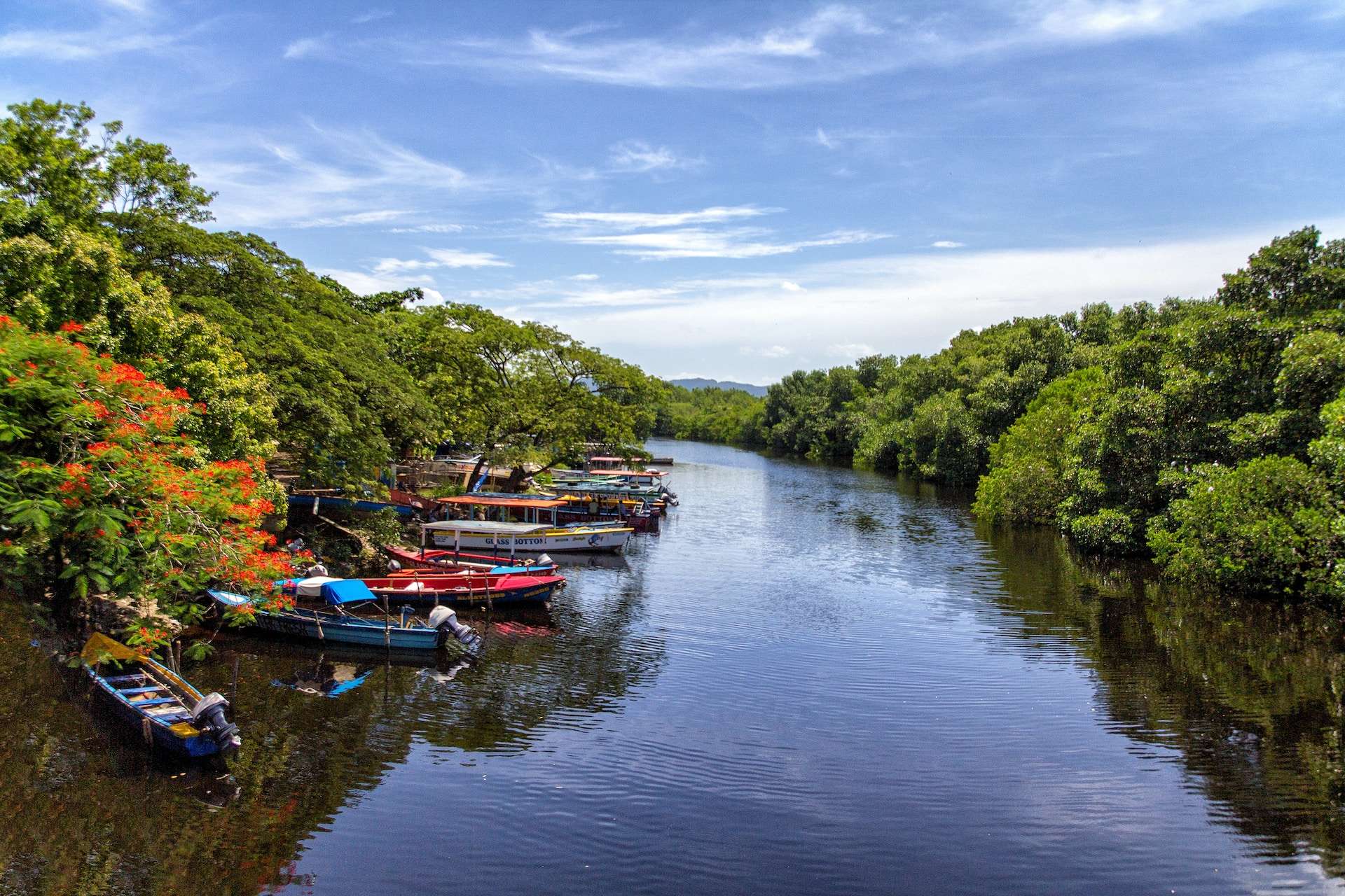 Places to Eat & Drink in Jamaica